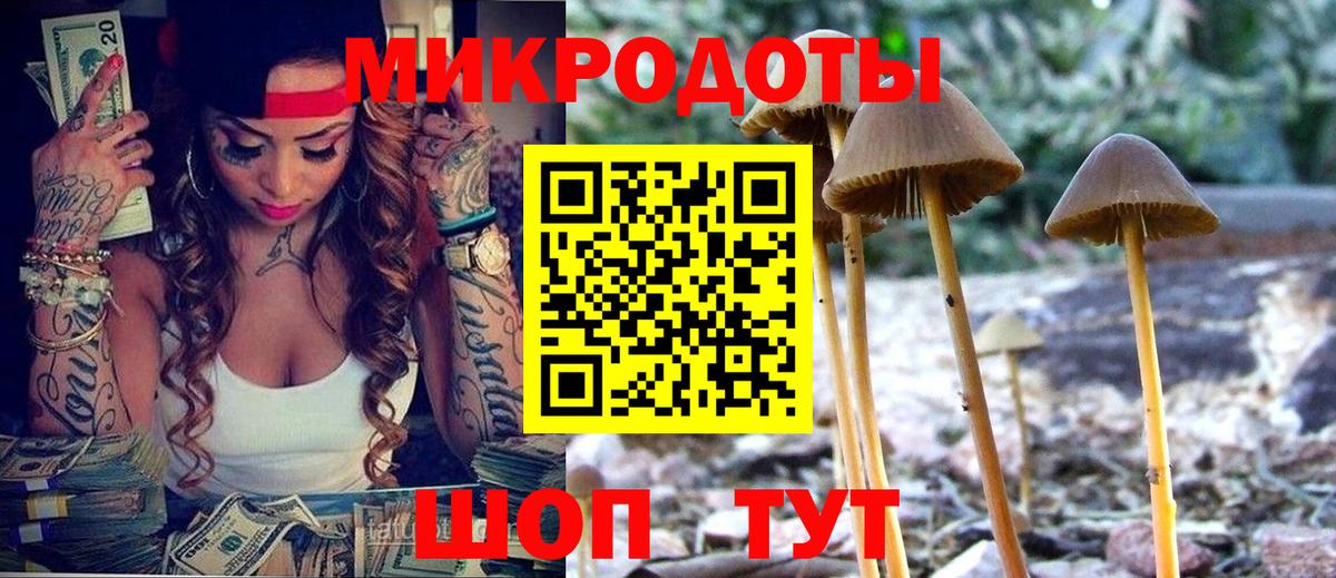 Галлюциногенные грибы Psilocybe  Псилоцибиновые грибы Cubensis  Вход с VPN  Сосновоборск 