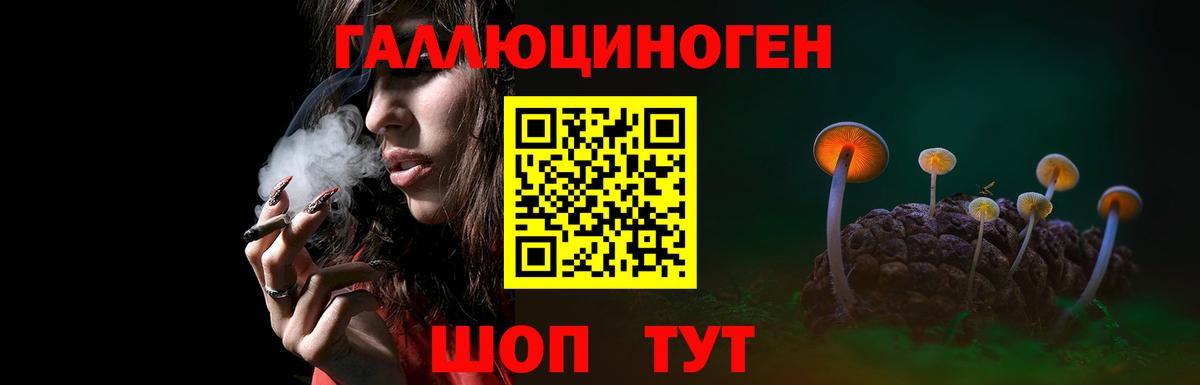 Псилоцибиновые грибы прущие грибы Сосновоборск